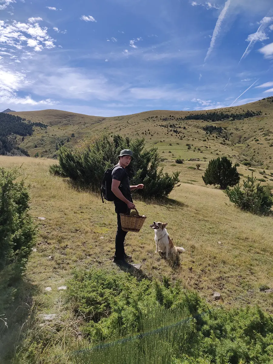 A por setas - naturaleza con perros